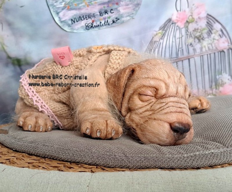 Benni Simon Laurens  (9)